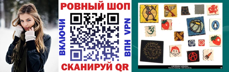 A PVP Каменногорск