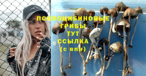 2c-b Алзамай