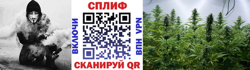 мега ССЫЛКА  где можно купить   Каменногорск  Шишки марихуана AK-47 